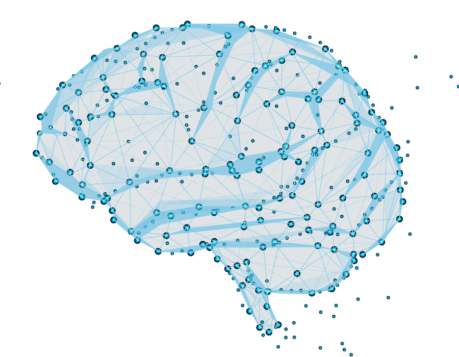 brain brain